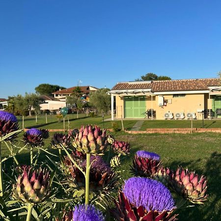 فيلا Il Giardino Di Nunzia برنسيبينا تيرا المظهر الخارجي الصورة